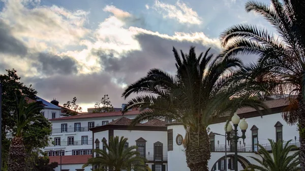 Günbatımı Üzerinde Beyaz Evler Palms Funchal Madeira Portekiz Timelapse — Stok fotoğraf