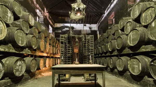 Barrels in the wine cellar with table and candle on it, Portugal timelapse 4K