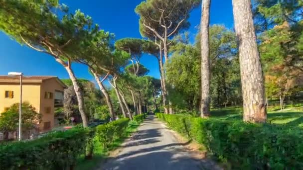 アルバーノ ・ ラツィアーレの美しい町タイムラプス hyperlapse、イタリアのヴィラ ドーリアパンフィーリ公園 — ストック動画