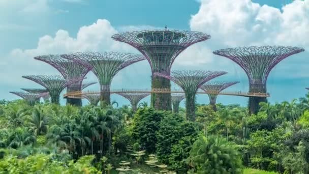 Supertrees bij de tuinen door de baai timelapse. — Stockvideo