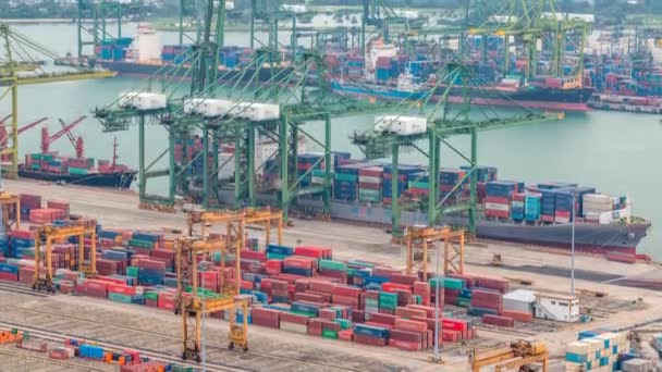 Kommersiella hamnen i Singapore timelapse. Fågel öga panoramautsikt över mest trafikerade asiatiska cargo port — Stockvideo