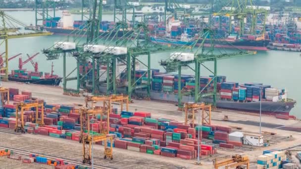 Commercial port of Singapore timelapse. Bird eye panoramic view of busiest Asian cargo port — Stock Video