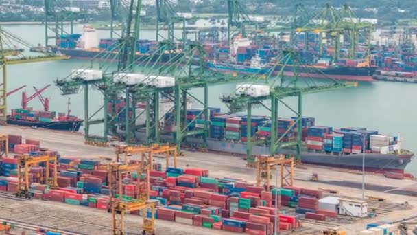 Kommersiella hamnen i Singapore timelapse. Fågel öga panoramautsikt över mest trafikerade asiatiska cargo port — Stockvideo