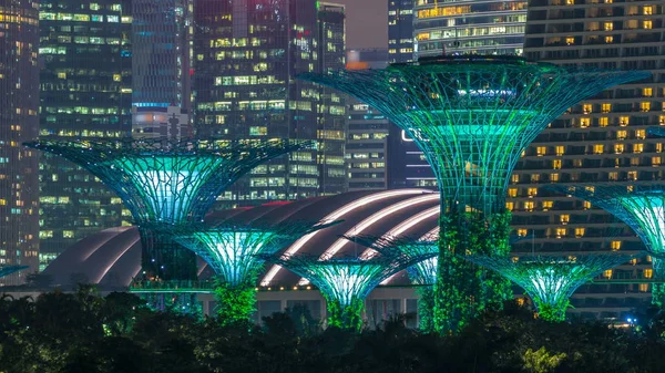 Marina Bay Sands Bulut Orman Koy Bahçelerle Kubbe Supertrees Gece — Stok fotoğraf