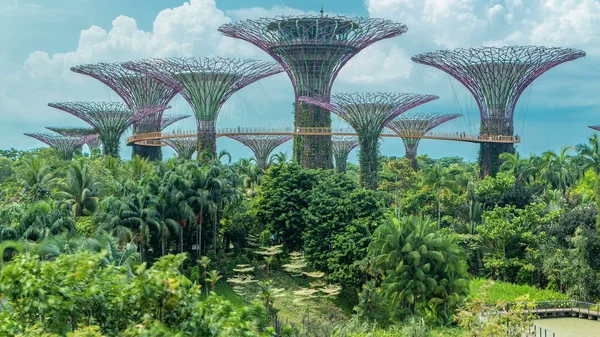 Supertrees Gardens Bay Timelapse Les Structures Ressemblant Des Arbres Sont — Photo