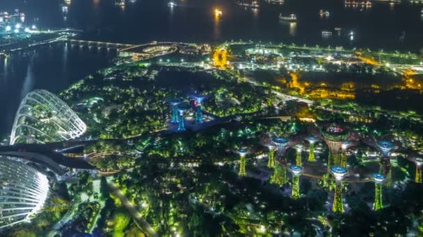 在新加坡的滨海花园和工业船舶的鸟图. — 图库视频影像