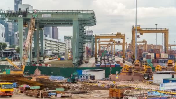 Commercial port of Singapore timelapse. Bird eye panoramic view of busiest Asian cargo port — Stock Video