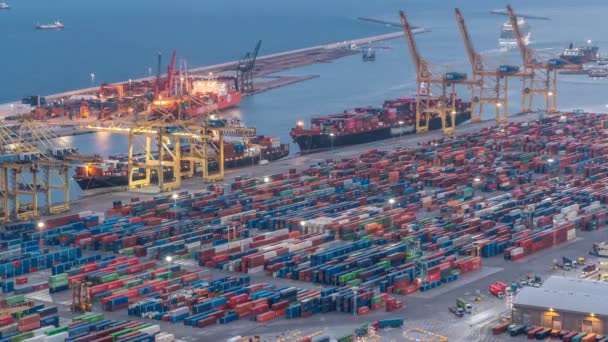 Морской порт и погрузочные доки в порту с кранами и разноцветными грузовыми контейнерами день и ночь — стоковое видео