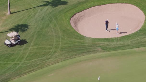 Paisaje de campo de golf verde con vista aérea a los árboles. Dubai, Emiratos Árabes Unidos — Vídeos de Stock