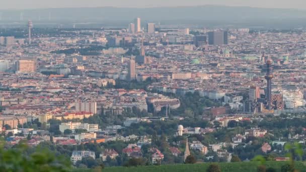 Skyline of Vienna from Danube Viewpoint Leopoldsberg air timelapse. — стокове відео