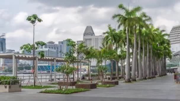 Spacer sposób z palmami obok w parkach i na zewnątrz zatoki marina z singapore drapacze chmur timelapse hiperlapse — Wideo stockowe