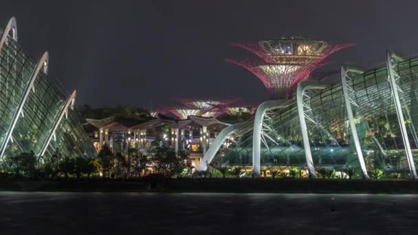 Ein nächtlicher Blick auf den Supertree Grove, den Nebelwald und die Blütenkuppel der Gardens by the Bay in Singapur im Zeitraffer. — Stockvideo