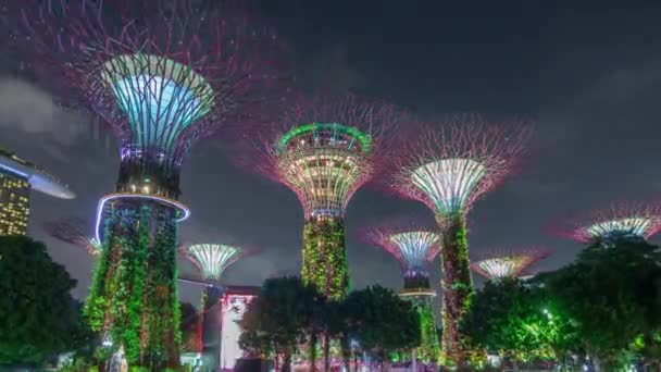 Futurystyczny widok niesamowitego oświetlenia w Garden by the Bay noc timelapse hyperlapse w Singapurze. — Wideo stockowe