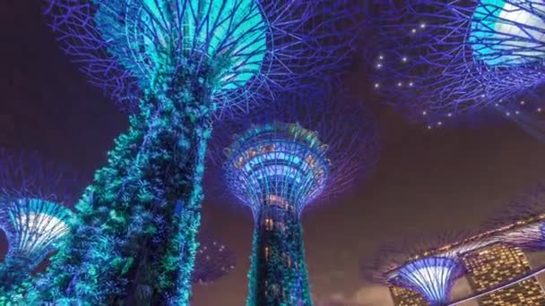 Vue futuriste de l'illumination étonnante à Garden by the Bay nuit timelapse hyperlapse à Singapour. — Video