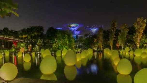 Выставка "Будущее вместе" на озере Стрекоза и в саду Bayfront Plaza у временных границ залива. — стоковое видео