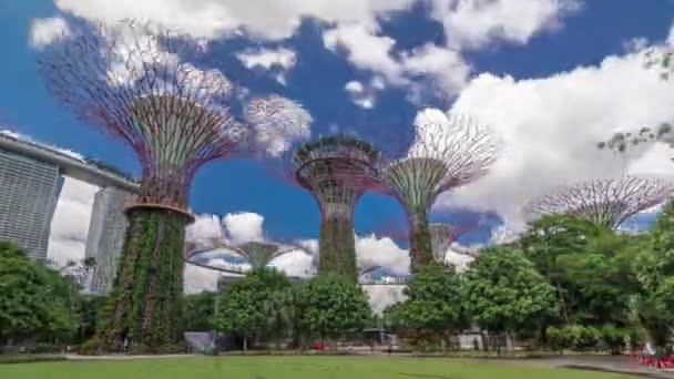 Футуристический вид удивительных супердеревьев в саду у залива Таймолапс в Сингапуре. — стоковое видео