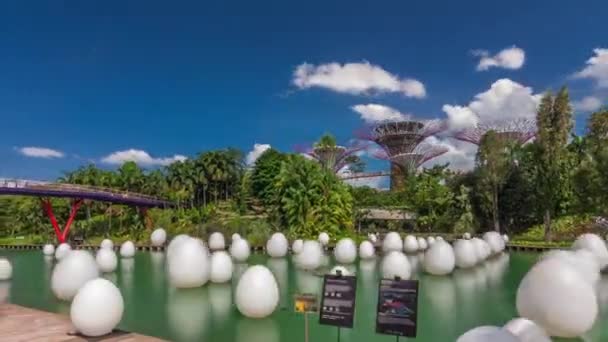 港湾时间飞逝旁的蜻蜓湖和海滨广场花园的未来共同展览. — 图库视频影像