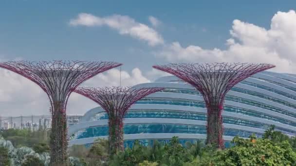 Légi kilátás a Supertree Grove, Cloud Forest és Flower Dome a Gardens a Bay Szingapúrban timelapse. — Stock videók