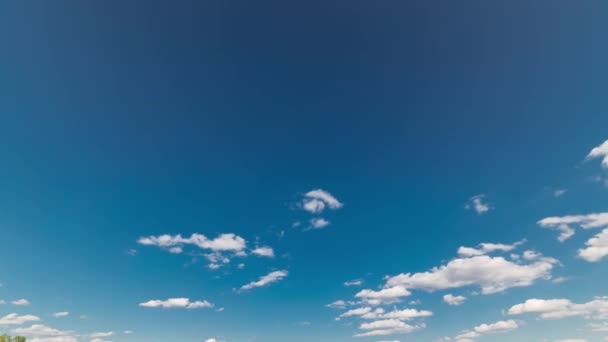 Campo verde e céu azul com nuvem branca timelapse — Vídeo de Stock