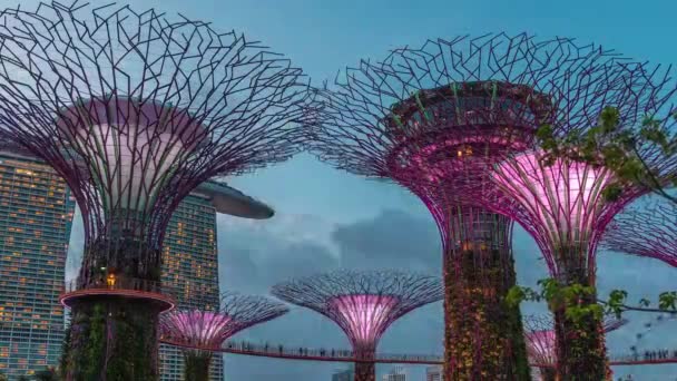 Vista aérea futurista de la increíble iluminación en Garden by the Bay día a noche timelapse en Singapur. — Vídeos de Stock