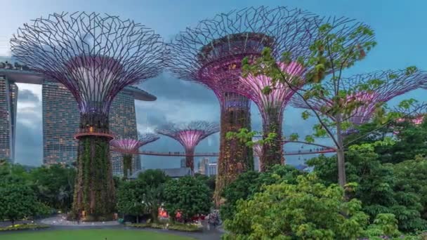 Futuristisk antenn syn på fantastisk belysning på Garden by the Bay dag till natt timelapse i Singapore. — Stockvideo