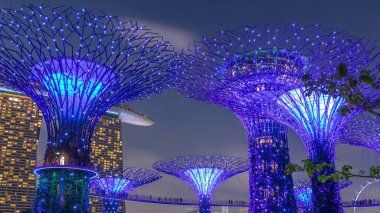 Singapur körfezi gecesinde Garden 'da gün batımından sonra muhteşem aydınlanmanın fütüristik hava görüntüsü. Supertree Groveis 'deki gece lambası gösterisi Marina Körfezi' nin ana turistik merkezi.