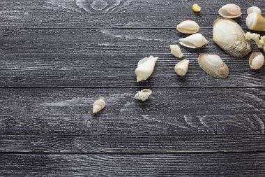 Kabukları ile gri ahşap arka plan
