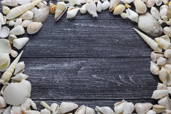 Kabukları ile gri ahşap arka plan