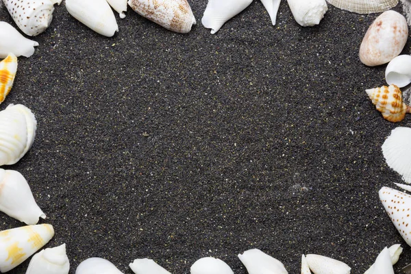 Siyah deniz kabukları ile kum