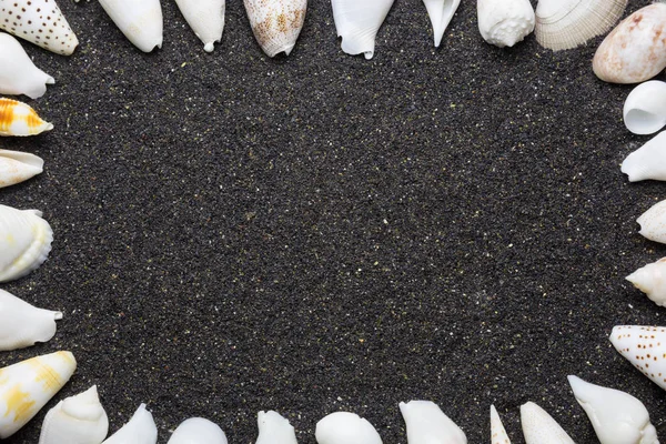 Siyah deniz kabukları ile kum