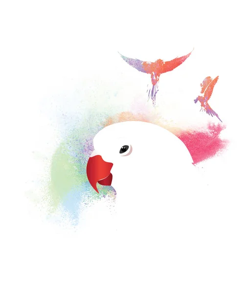 Papağan peyzaj poster tasarımı 