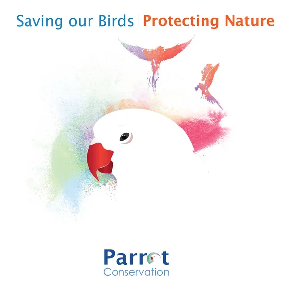 Papağan peyzaj poster tasarımı