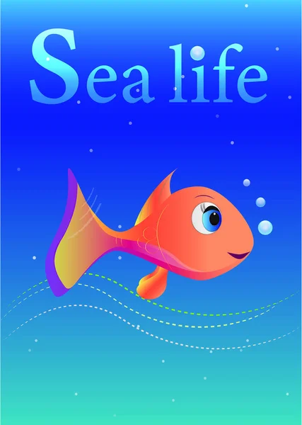 Deniz hayat deniz tasarım