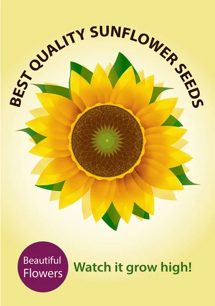 ayçiçeği tohumu reklam tasarım