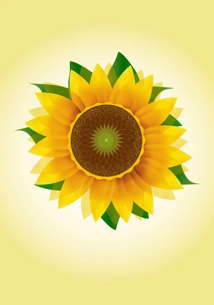 Sarı ayçiçeği tasarım kapak