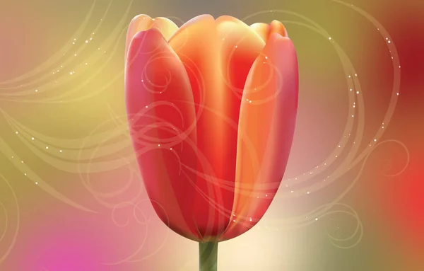 Big spring kırmızımsı Lale