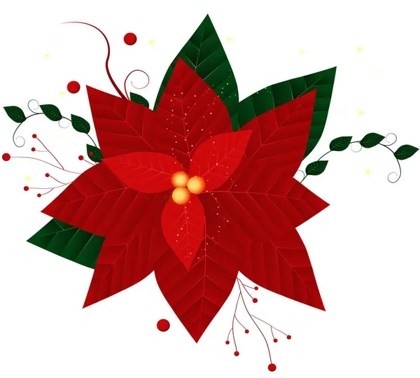 Christmas Big Red Poinsettia — Stock Photo, Image