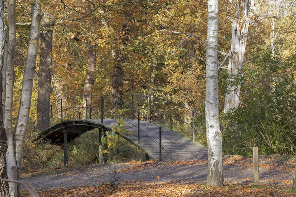 Malerischer Blick Auf Den Park Mit Herbstlichen Bäumen Und Holzbrücke — Stockfoto
