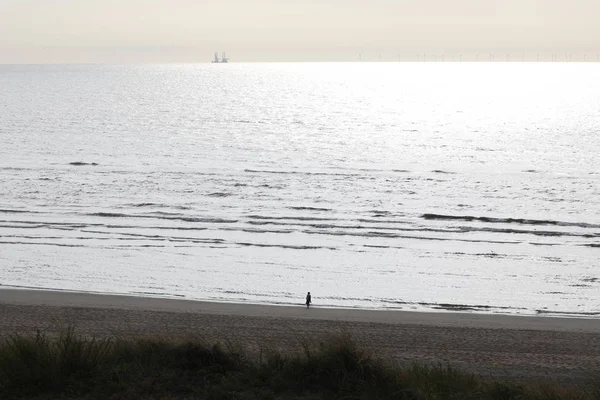 Yalnız Kişinin Denizde Kum Plajındaki Yürüme Yüksek Açı Görünümü — Stok fotoğraf