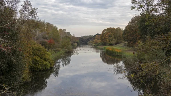 Beautiful Landscape Calm River Green Trees Cloudy Day — Stock Photo, Image