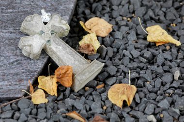 Belediye Mezarlığı'nda Amsterdam, Hollanda, yakın çekim görünümü ve çapraz kuru yaprakları