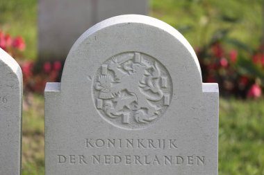 Amsterdam, Hollanda Belediye mezarlığında mezar taşları görmek