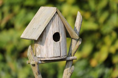 güneşli bir gün, ahşap kuş evini yakından görmek bulanık doğal zemin üzerine 