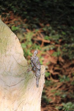 Belediye Mezarlığı'nda Amsterdam, Hollanda, küçük heykel yakından görmek
