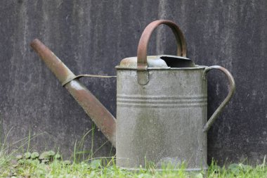 Belediye Mezarlığı'nda Amsterdam, Hollanda, sulama yakından görmek olabilir