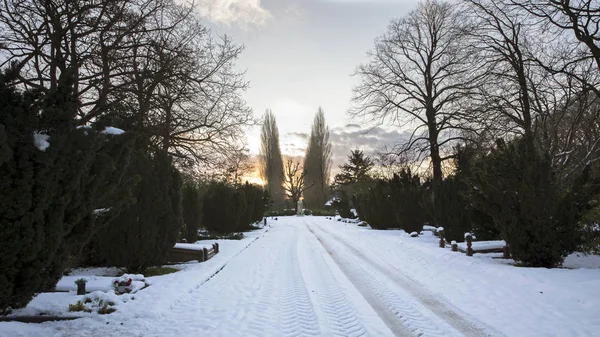 Gravestones Covered Snow Winter Evening Municipal Cemetery Amsterdam Netherlands — Stock Photo, Image