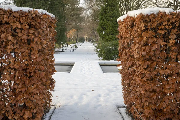 Gravestones Covered Snow Wintertime Municipal Cemetery Amsterdam Netherlands — Stock Photo, Image