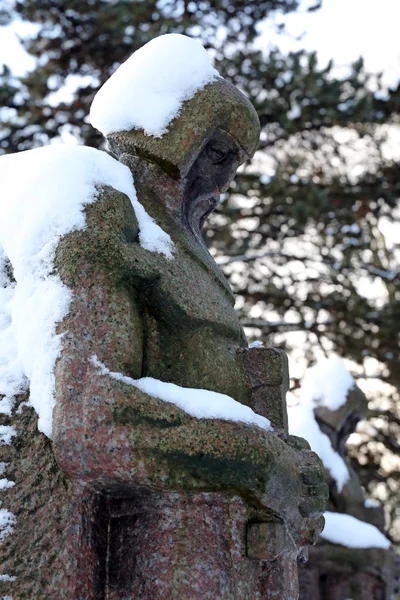 Sculptures Guerriers Avec Des Épées Recouvertes Neige Cimetière Municipal Amsterdam — Photo