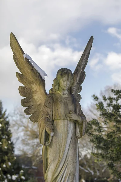 Engelskulptur Winter Städtischer Friedhof Amsterdam Niederlande — Stockfoto