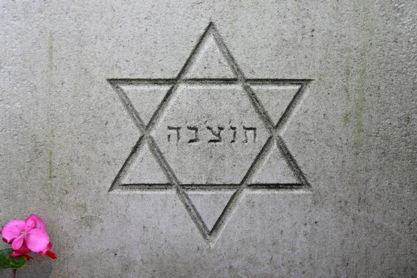 Davidova Hvězda Symbol Náhrobek Městském Hřbitově Amsterdamu Nizozemsko — Stock fotografie